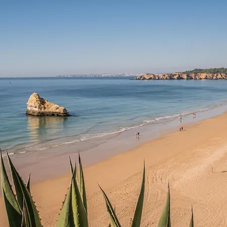 Sea View 8e Appartement